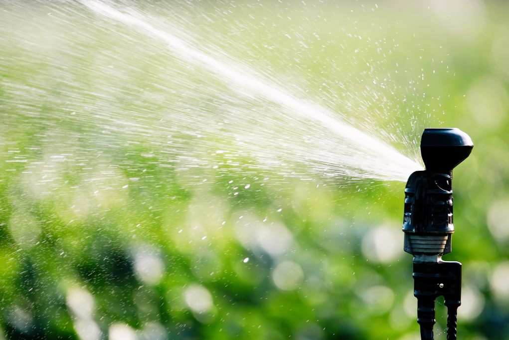 agua de mar y agricultura