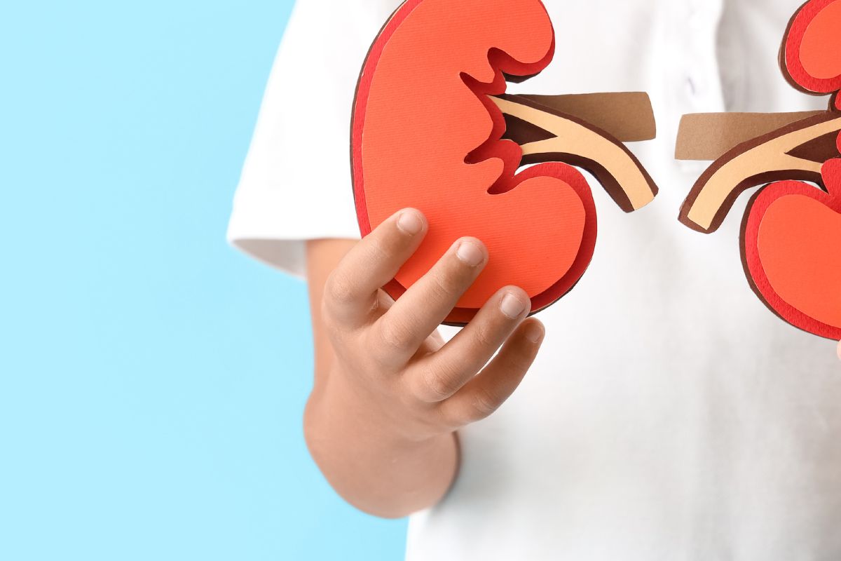 Agua de mar para los riñones: ¿es segura y beneficiosa para su salud?