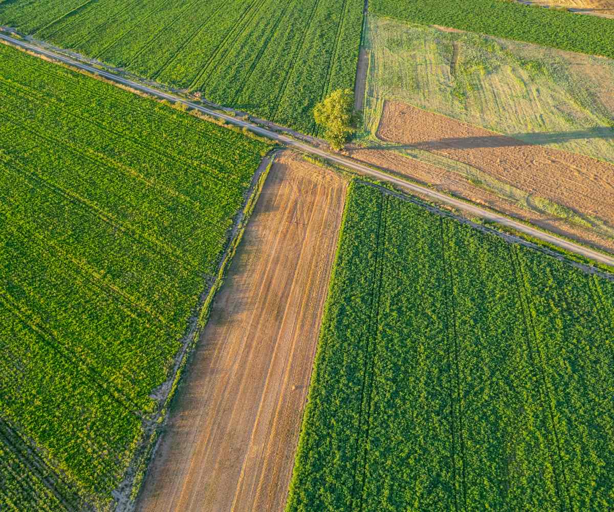 Agua de mar para agricultura una solución sostenible para tus cultivos