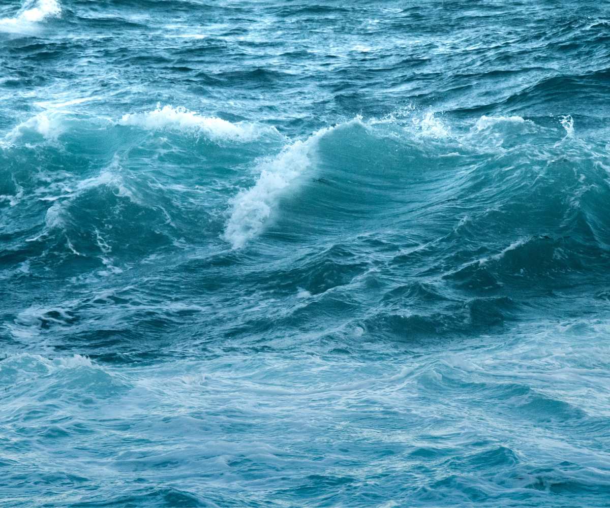 La salinidad del agua de mar por qué es clave para sus propiedades